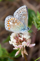 nature-10