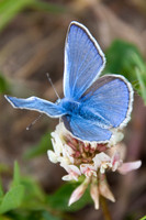 nature-11