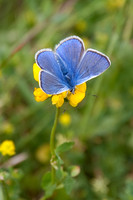 nature-9