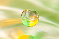 Water Droplets - by Harrison
